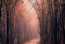 斯图加特表现抢眼，球迷期待更好表现