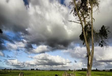 压轴大战：冠军赛场上，豪强角逐不亦乐乎