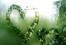 拜仁横扫对手，战胜之路似乎如此顺畅