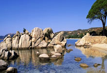 欧预赛夺冠队老板宣布团队奖金大增